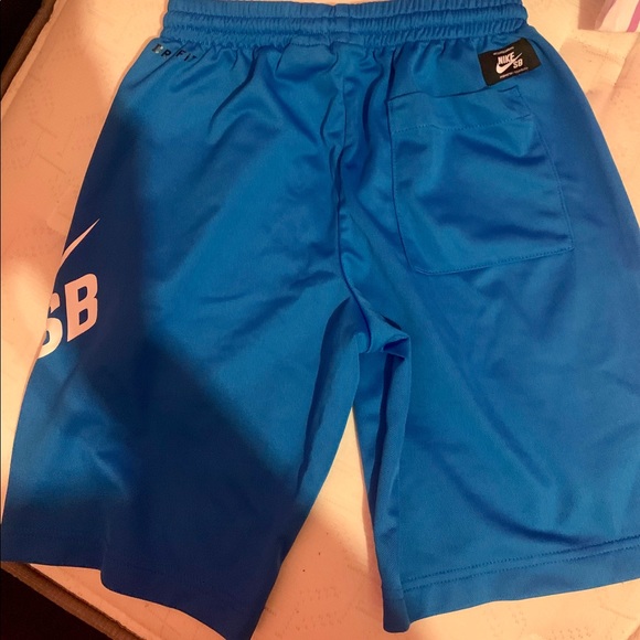 NWOT Nike SB Shorts - Picture 2 of 3